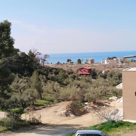 Theasis1 Villa Neos Marmaras Exterior photo